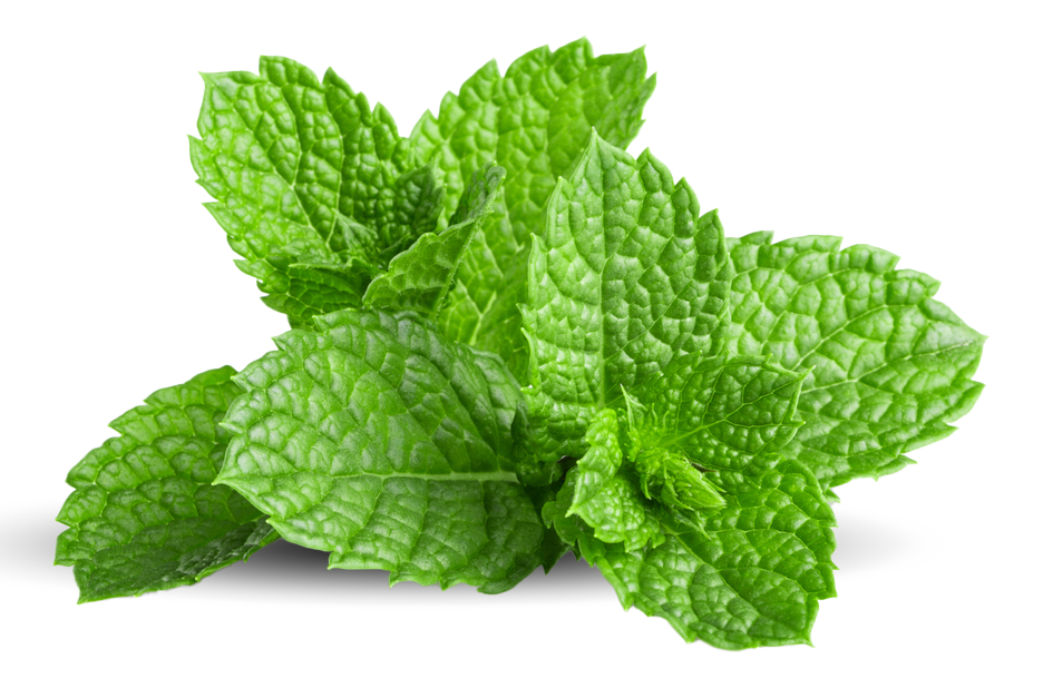 Mint Healthy Dent Sweetmart